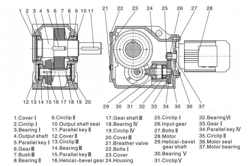 Strukturzeichnung des rechtwinkligen Stirnradgetriebemotors der K-Serie