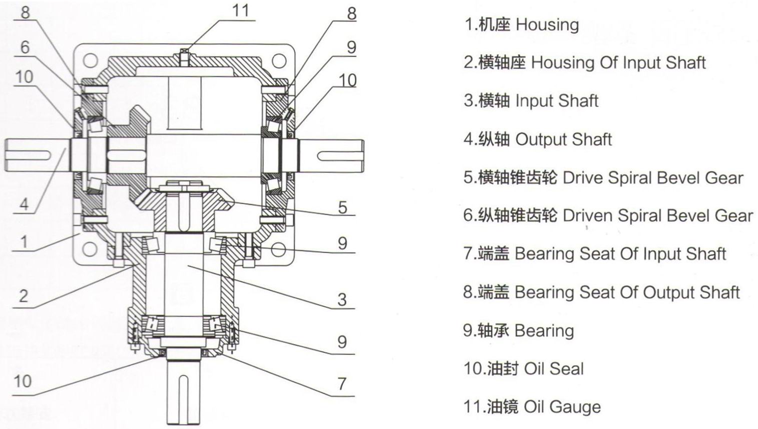 Spiral bevel gearbox T series structure view